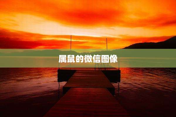 属鼠的微信图像
