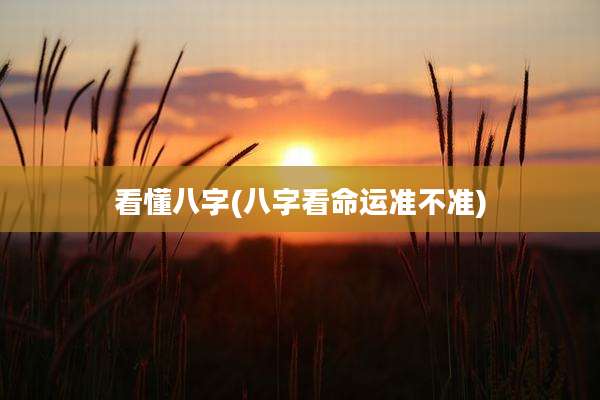 看懂八字(八字看命运准不准)