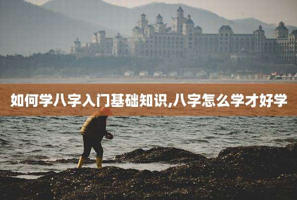 如何学八字入门基础知识,八字怎么学才好学