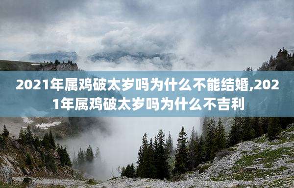 2021年属鸡破太岁吗为什么不能结婚,2021年属鸡破太岁吗为什么不吉利
