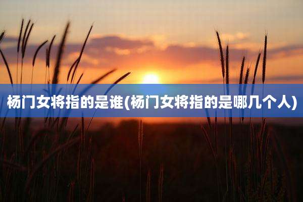 杨门女将指的是谁(杨门女将指的是哪几个人)