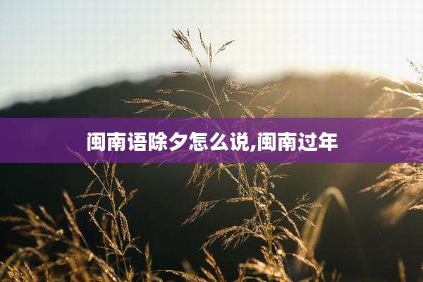 闽南语除夕怎么说,闽南过年