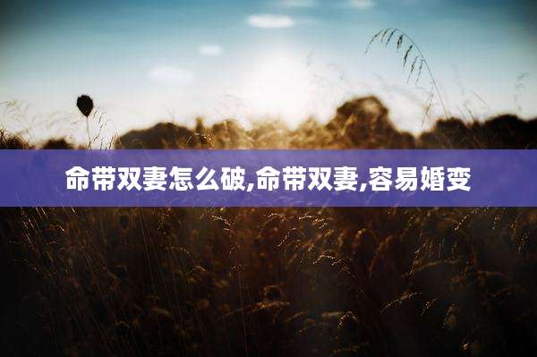 命带双妻怎么破,命带双妻,容易婚变