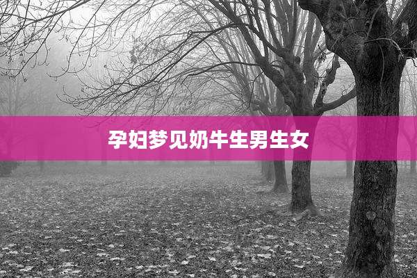 孕妇梦见奶牛生男生女