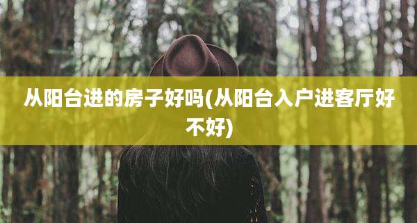 从阳台进的房子好吗(从阳台入户进客厅好不好)
