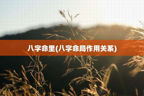 八字命里(八字命局作用关系)