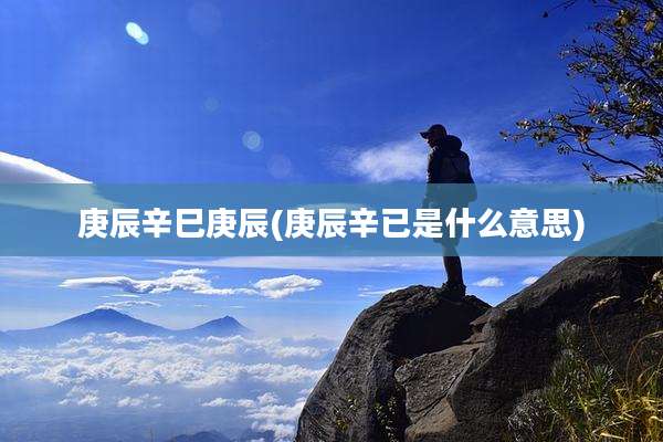 庚辰辛巳庚辰(庚辰辛已是什么意思)