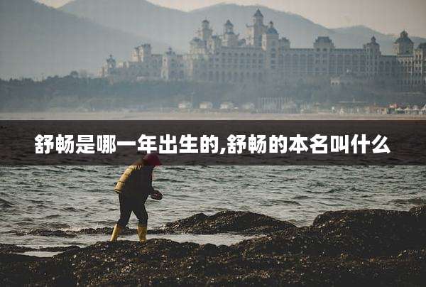舒畅是哪一年出生的,舒畅的本名叫什么