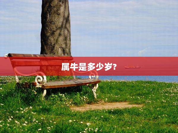 属牛是多少岁?