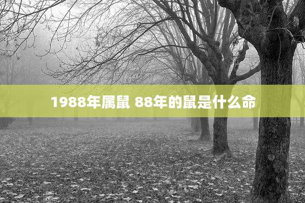 1988年属鼠 88年的鼠是什么命