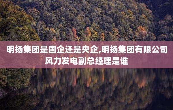 明扬集团是国企还是央企,明扬集团有限公司风力发电副总经理是谁