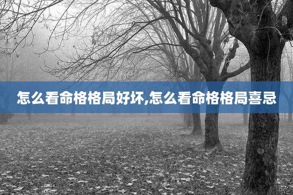怎么看命格格局好坏,怎么看命格格局喜忌