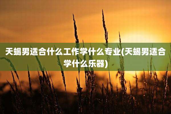 天蝎男适合什么工作学什么专业(天蝎男适合学什么乐器)