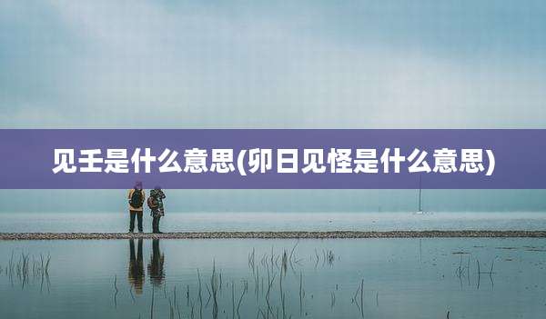 见壬是什么意思(卯日见怪是什么意思)