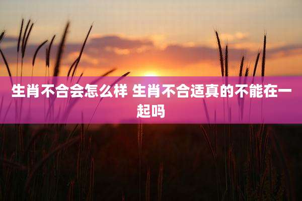 生肖不合会怎么样 生肖不合适真的不能在一起吗