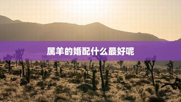 属羊的婚配什么最好呢