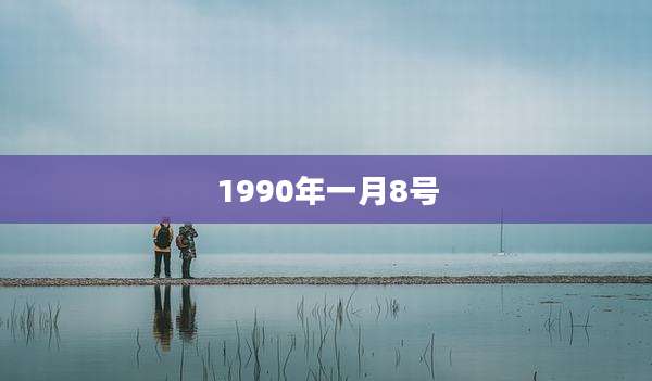 1990年一月8号