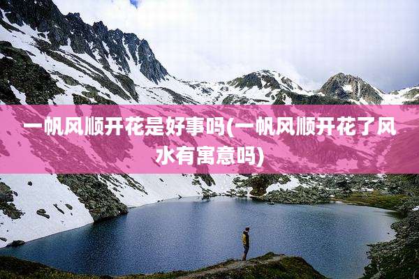 一帆风顺开花是好事吗(一帆风顺开花了风水有寓意吗)