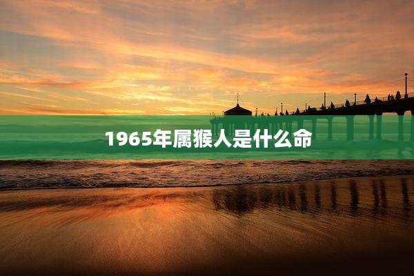 1965年属猴人是什么命