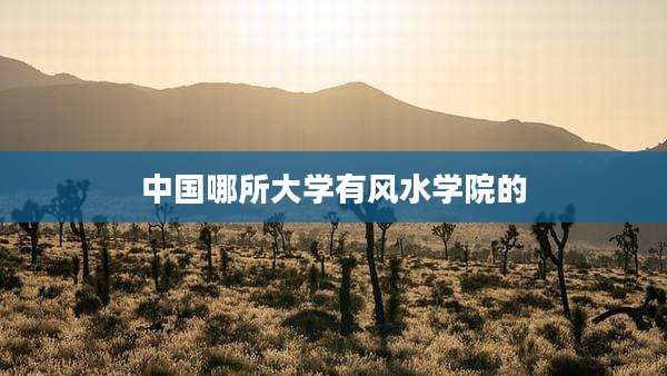 中国哪所大学有风水学院的