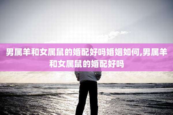 男属羊和女属鼠的婚配好吗婚姻如何,男属羊和女属鼠的婚配好吗