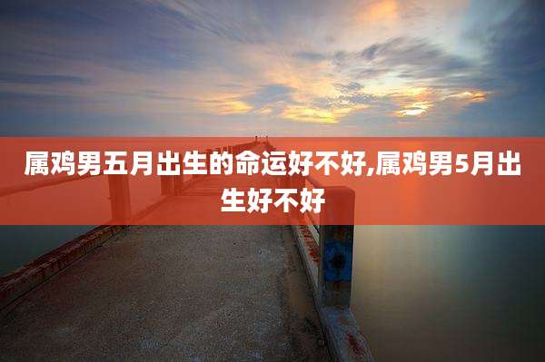属鸡男五月出生的命运好不好,属鸡男5月出生好不好