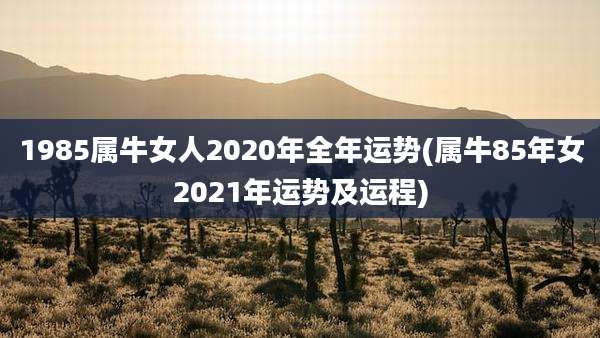 1985属牛女人2020年全年运势(属牛85年女2021年运势及运程)