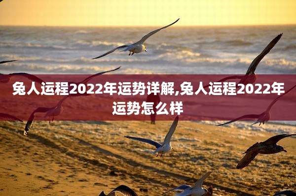 兔人运程2022年运势详解,兔人运程2022年运势怎么样