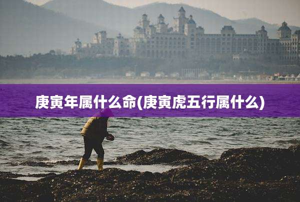 庚寅年属什么命(庚寅虎五行属什么)