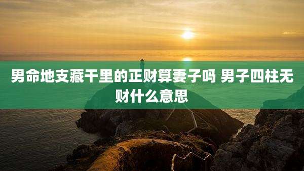 男命地支藏干里的正财算妻子吗 男子四柱无财什么意思