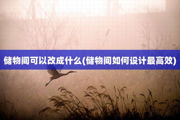 储物间可以改成什么(储物间如何设计最高效)