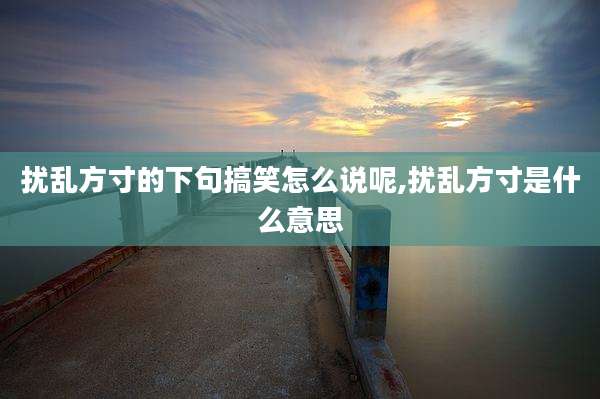 扰乱方寸的下句搞笑怎么说呢,扰乱方寸是什么意思