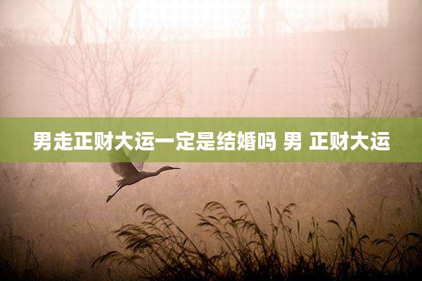 男走正财大运一定是结婚吗 男 正财大运