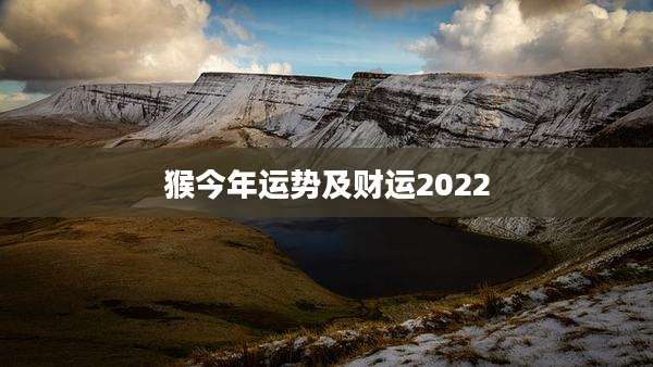 猴今年运势及财运2022