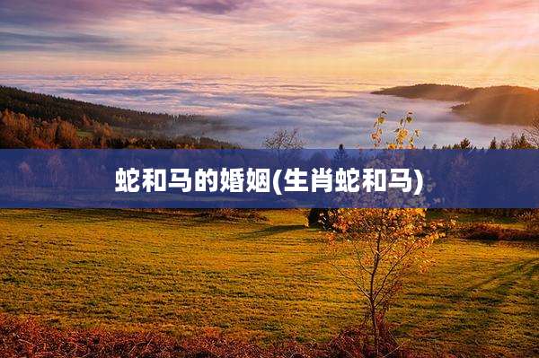 蛇和马的婚姻(生肖蛇和马)