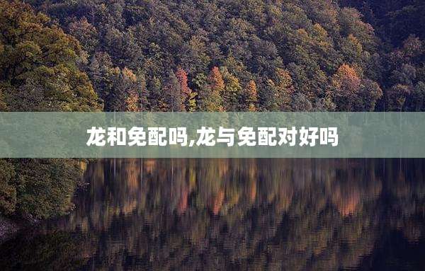 龙和免配吗,龙与免配对好吗