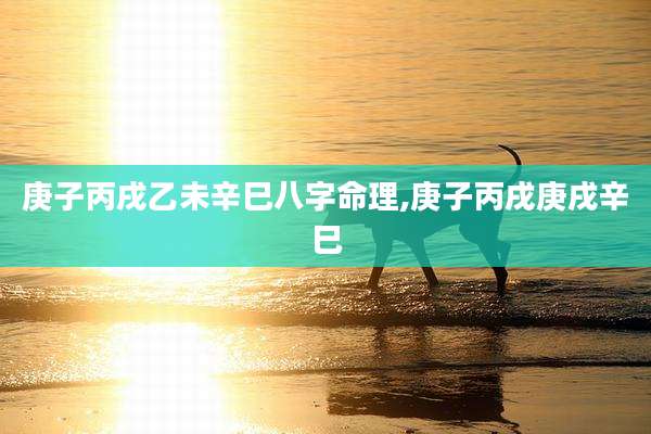 庚子丙戌乙未辛巳八字命理,庚子丙戌庚戌辛巳