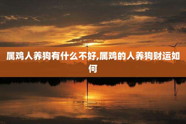 属鸡人养狗有什么不好,属鸡的人养狗财运如何