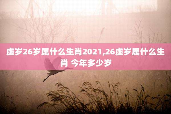 虚岁26岁属什么生肖2021,26虚岁属什么生肖 今年多少岁