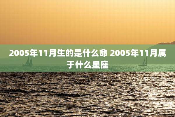 2005年11月生的是什么命 2005年11月属于什么星座