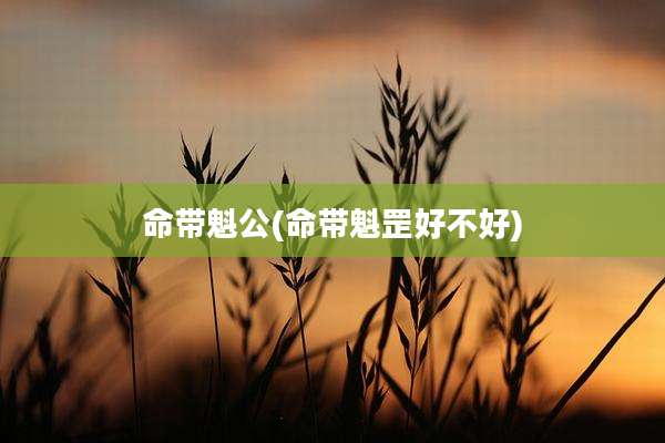 命带魁公(命带魁罡好不好)