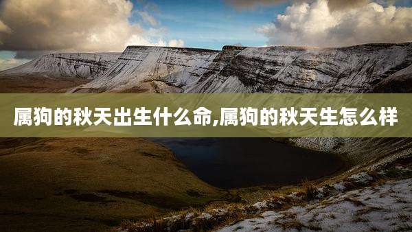 属狗的秋天出生什么命,属狗的秋天生怎么样