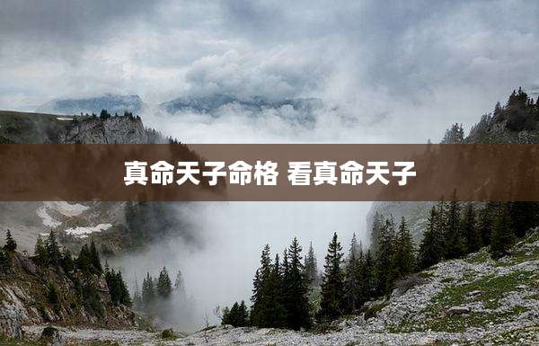 真命天子命格 看真命天子