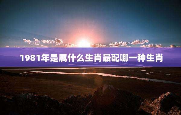 1981年是属什么生肖最配哪一种生肖