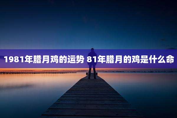 1981年腊月鸡的运势 81年腊月的鸡是什么命