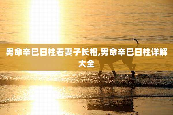 男命辛巳日柱看妻子长相,男命辛巳日柱详解大全