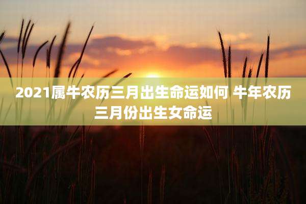 2021属牛农历三月出生命运如何 牛年农历三月份出生女命运
