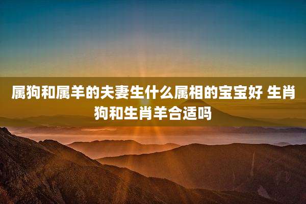 属狗和属羊的夫妻生什么属相的宝宝好 生肖狗和生肖羊合适吗