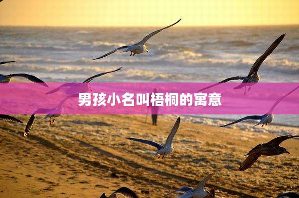 男孩小名叫梧桐的寓意