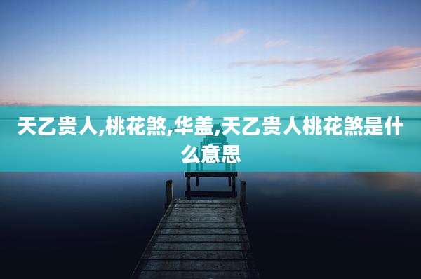 天乙贵人,桃花煞,华盖,天乙贵人桃花煞是什么意思